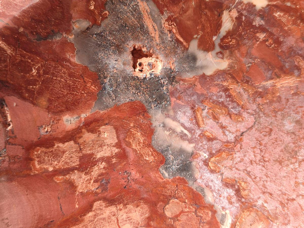 Polished Large Red Podocarpus Petrified Wood Bowl x 1 From Marovoay, Madagascar - Toprock Gemstones and Minerals 