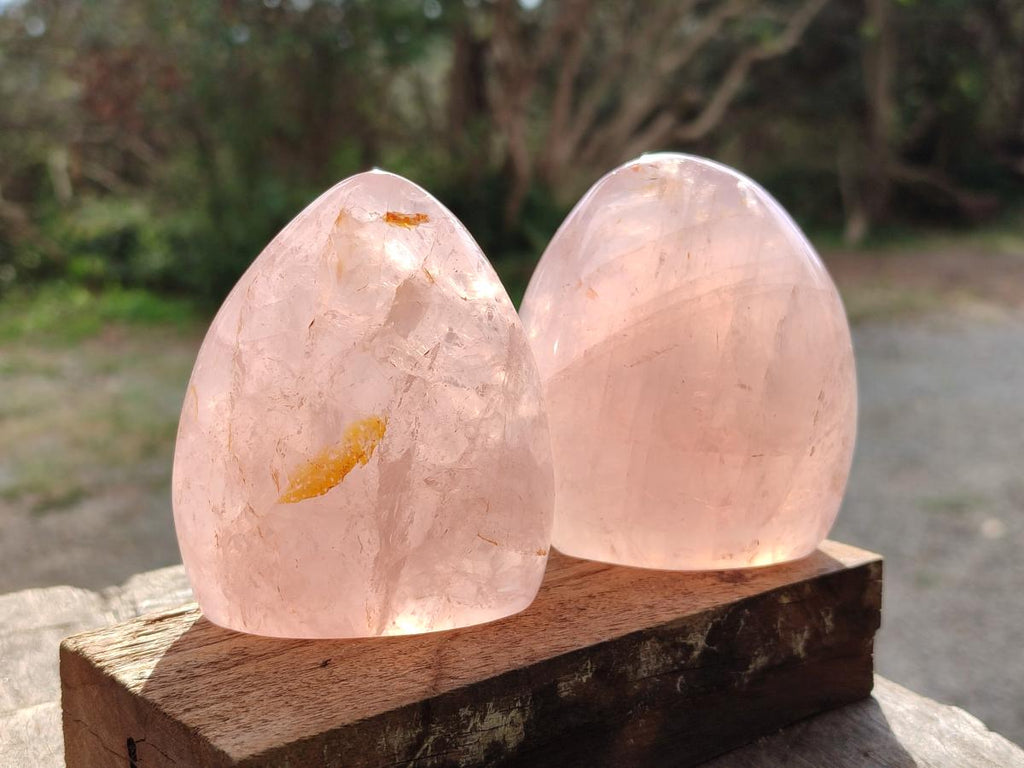 Polished Gemmy Rose Quartz Standing Display Pieces x 6 From Madagascar - Toprock Gemstones and Minerals 
