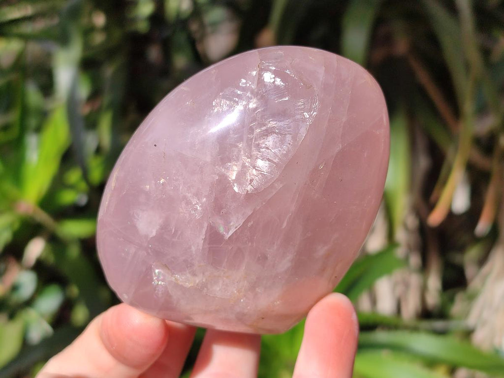 Polished Gemmy Rose Quartz Standing Display Pieces x 6 From Madagascar - Toprock Gemstones and Minerals 