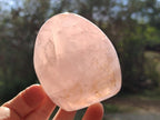 Polished Gemmy Rose Quartz Standing Display Pieces x 6 From Madagascar - Toprock Gemstones and Minerals 
