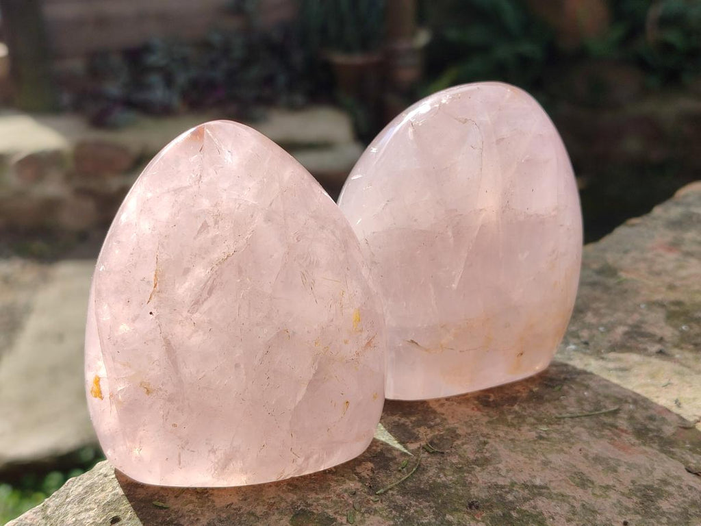 Polished Gemmy Rose Quartz Standing Display Pieces x 6 From Madagascar - Toprock Gemstones and Minerals 