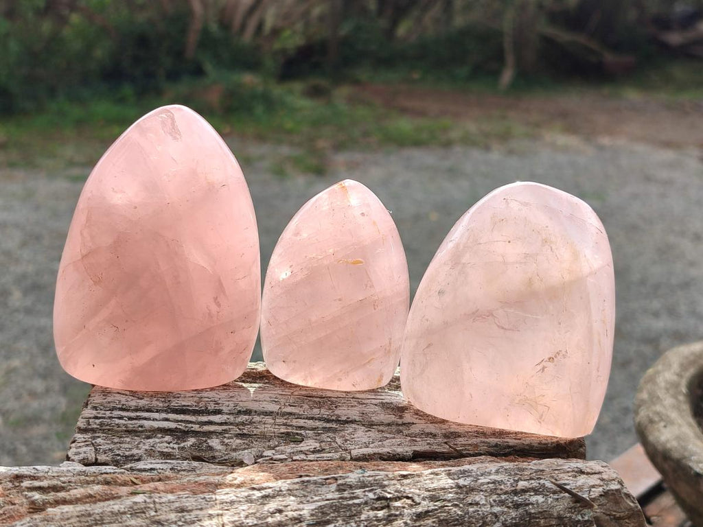 Polished Gemmy Rose Quartz Standing Display Pieces x 6 From Madagascar - Toprock Gemstones and Minerals 