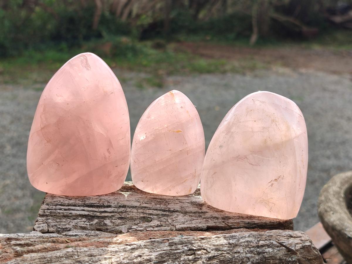 Polished Gemmy Rose Quartz Standing Display Pieces x 6 From Madagascar - Toprock Gemstones and Minerals 