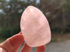 Polished Gemmy Rose Quartz Standing Display Pieces x 6 From Madagascar - Toprock Gemstones and Minerals 