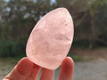 Polished Gemmy Rose Quartz Standing Display Pieces x 6 From Madagascar - Toprock Gemstones and Minerals 
