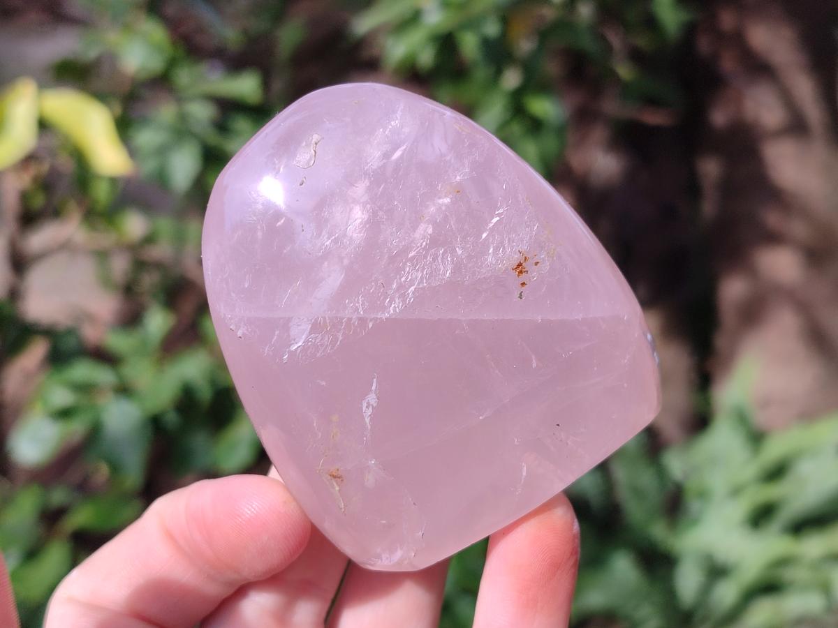 Polished Gemmy Rose Quartz Standing Display Pieces x 6 From Madagascar - Toprock Gemstones and Minerals 