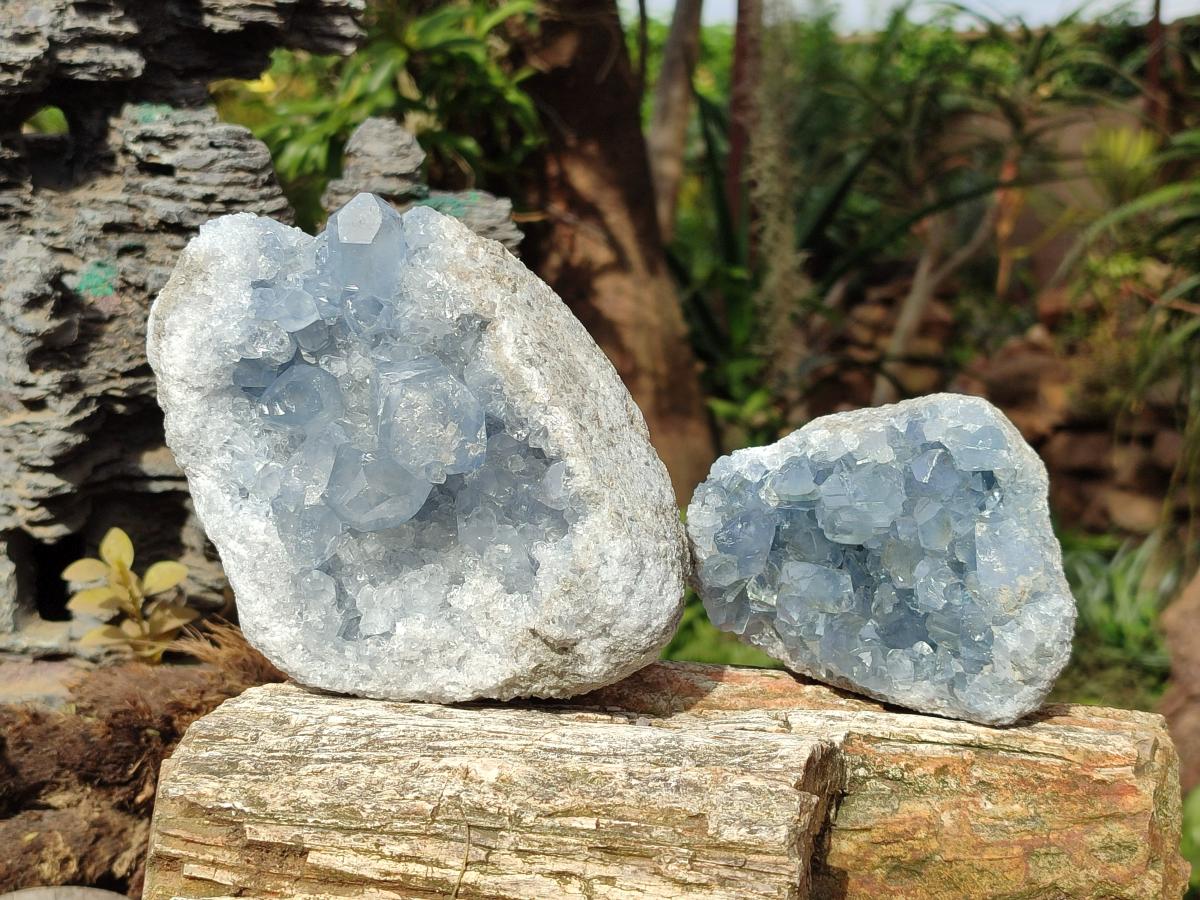 Natural Blue Celestite Specimens x 2 From Sakoany, Madagascar - Toprock Gemstones and Minerals 