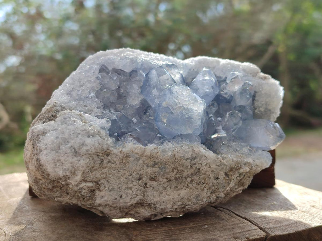 Natural Blue Celestite Specimens x 2 From Sakoany, Madagascar - Toprock Gemstones and Minerals 