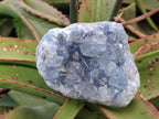 Natural Blue Celestite Specimens x 2 From Sakoany, Madagascar - Toprock Gemstones and Minerals 