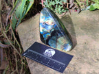 Polished Labradorite Standing Display Pieces x 6 From Madagascar - Toprock Gemstones and Minerals 