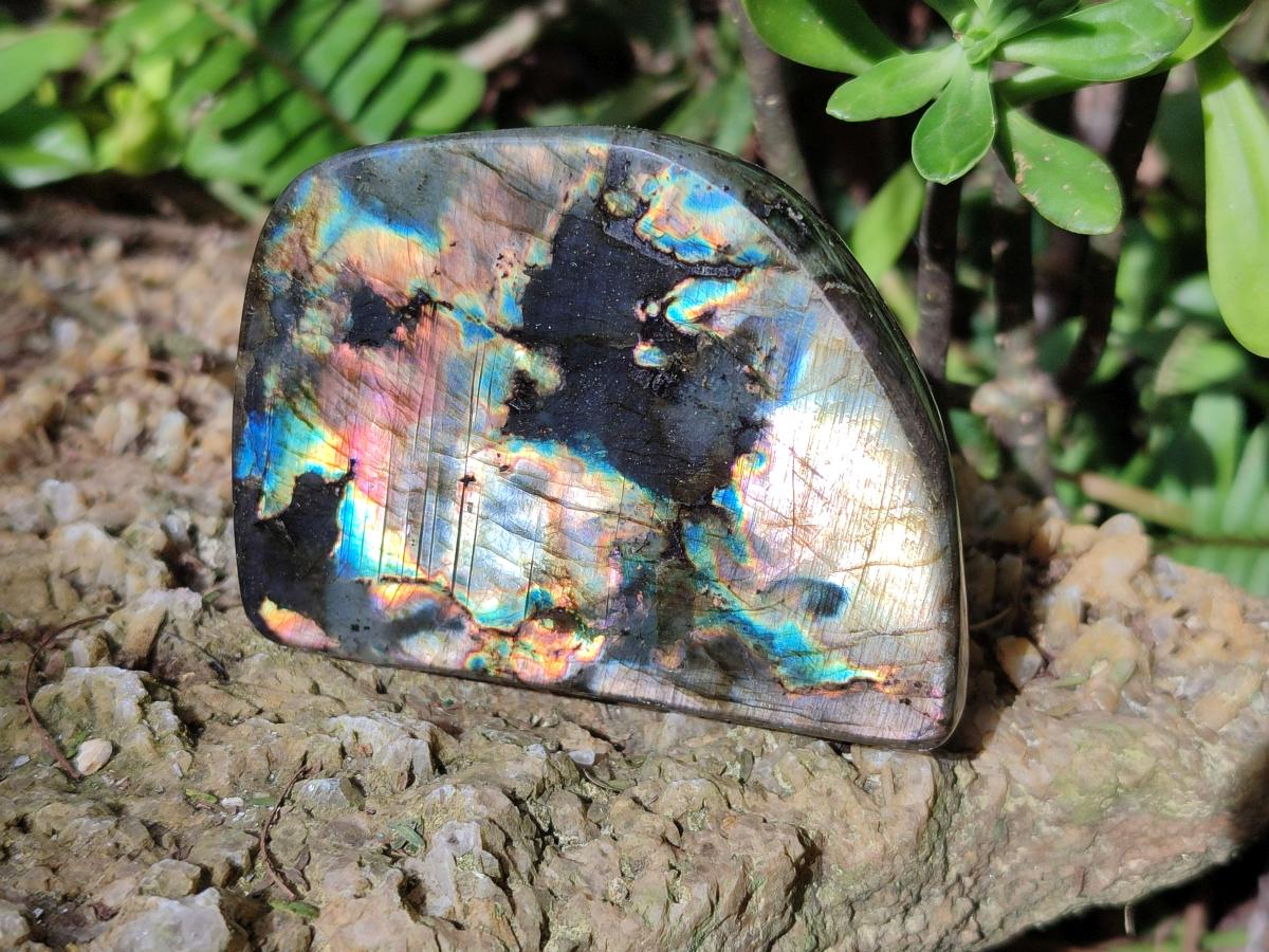 Polished Labradorite Standing Display Pieces x 6 From Madagascar - Toprock Gemstones and Minerals 