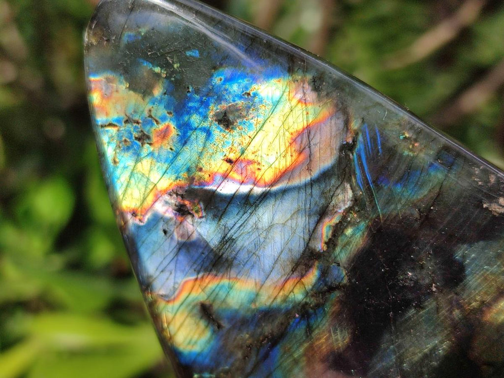 Polished Labradorite Standing Display Pieces x 6 From Madagascar - Toprock Gemstones and Minerals 