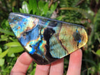 Polished Labradorite Standing Display Pieces x 6 From Madagascar - Toprock Gemstones and Minerals 