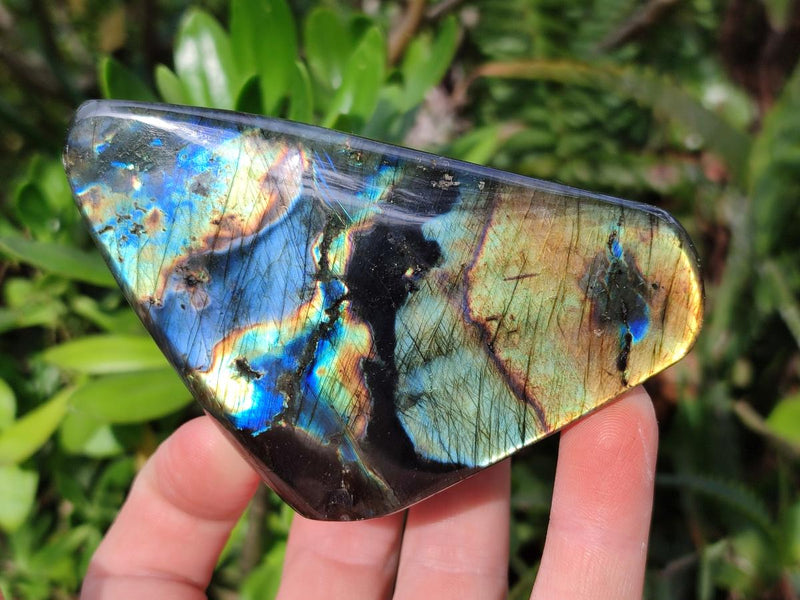 Polished Labradorite Standing Display Pieces x 6 From Madagascar - Toprock Gemstones and Minerals 