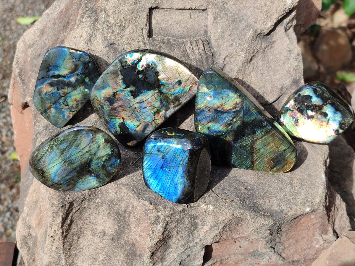 Polished Labradorite Standing Display Pieces x 6 From Madagascar - Toprock Gemstones and Minerals 
