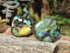 Polished Labradorite Standing Display Pieces x 6 From Madagascar - Toprock Gemstones and Minerals 