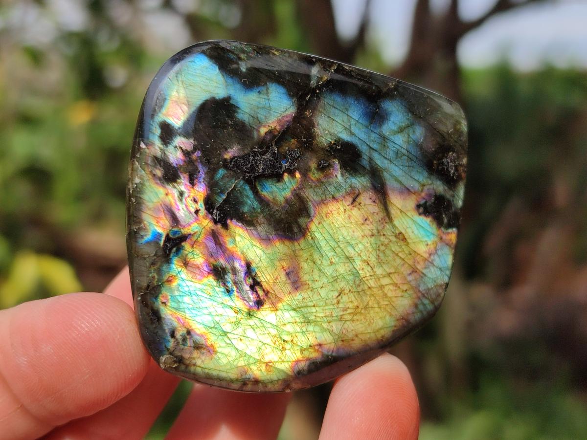 Polished Labradorite Standing Display Pieces x 6 From Madagascar - Toprock Gemstones and Minerals 