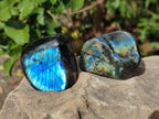 Polished Labradorite Standing Display Pieces x 6 From Madagascar - Toprock Gemstones and Minerals 
