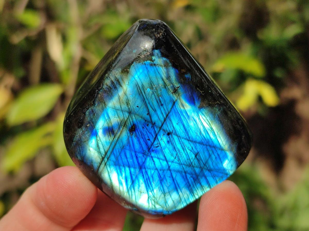 Polished Labradorite Standing Display Pieces x 6 From Madagascar - Toprock Gemstones and Minerals 