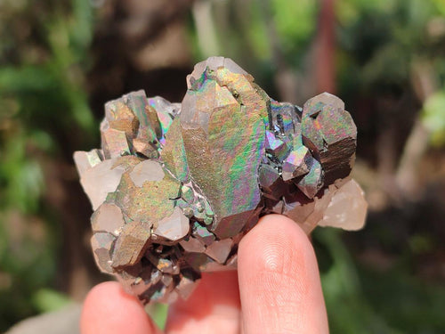 Natural Goethite Coated Blacknite Quartz Clusters x 26 From Madagascar - Toprock Gemstones and Minerals 