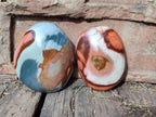 Polished Polychrome Jasper Galets x 24 From NW Coast, Madagascar - Toprock Gemstones and Minerals 
