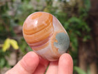 Polished Polychrome Jasper Galets x 24 From NW Coast, Madagascar - Toprock Gemstones and Minerals 
