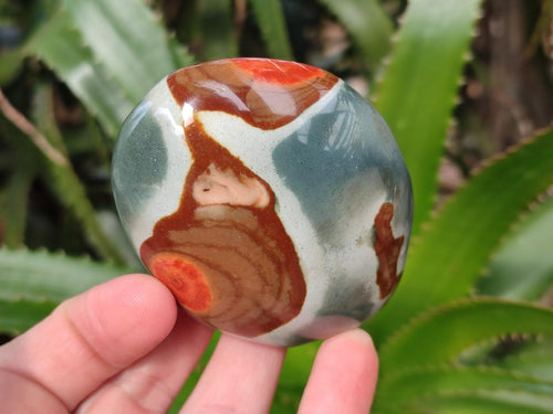 Polished Polychrome Jasper Galets x 24 From NW Coast, Madagascar - Toprock Gemstones and Minerals 
