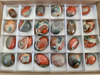 Polished Polychrome Jasper Galets x 24 From NW Coast, Madagascar - Toprock Gemstones and Minerals 