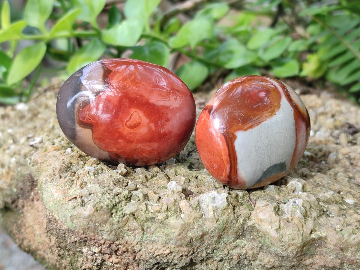 Polished Polychrome Jasper Galets x 24 From NW Coast, Madagascar - Toprock Gemstones and Minerals 