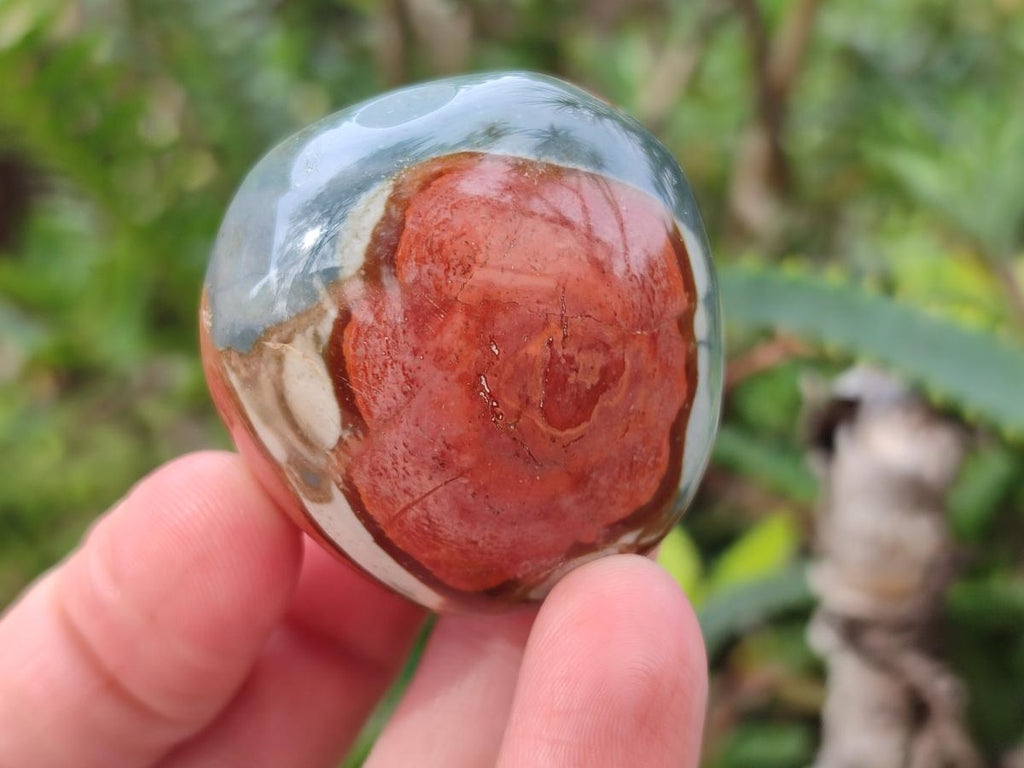 Polished Polychrome Jasper Galets x 24 From NW Coast, Madagascar - Toprock Gemstones and Minerals 