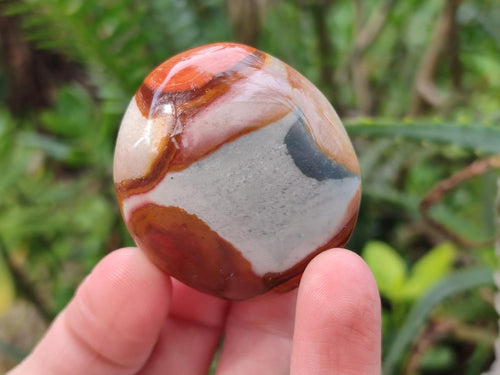 Polished Polychrome Jasper Galets x 24 From NW Coast, Madagascar - Toprock Gemstones and Minerals 