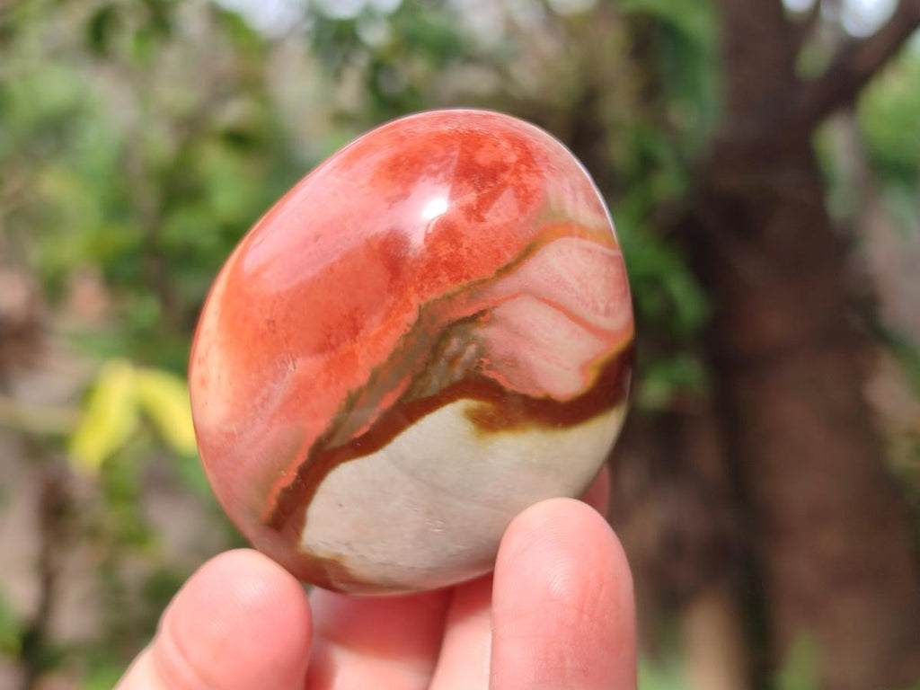 Polished Polychrome Jasper Galets x 24 From NW Coast, Madagascar - Toprock Gemstones and Minerals 