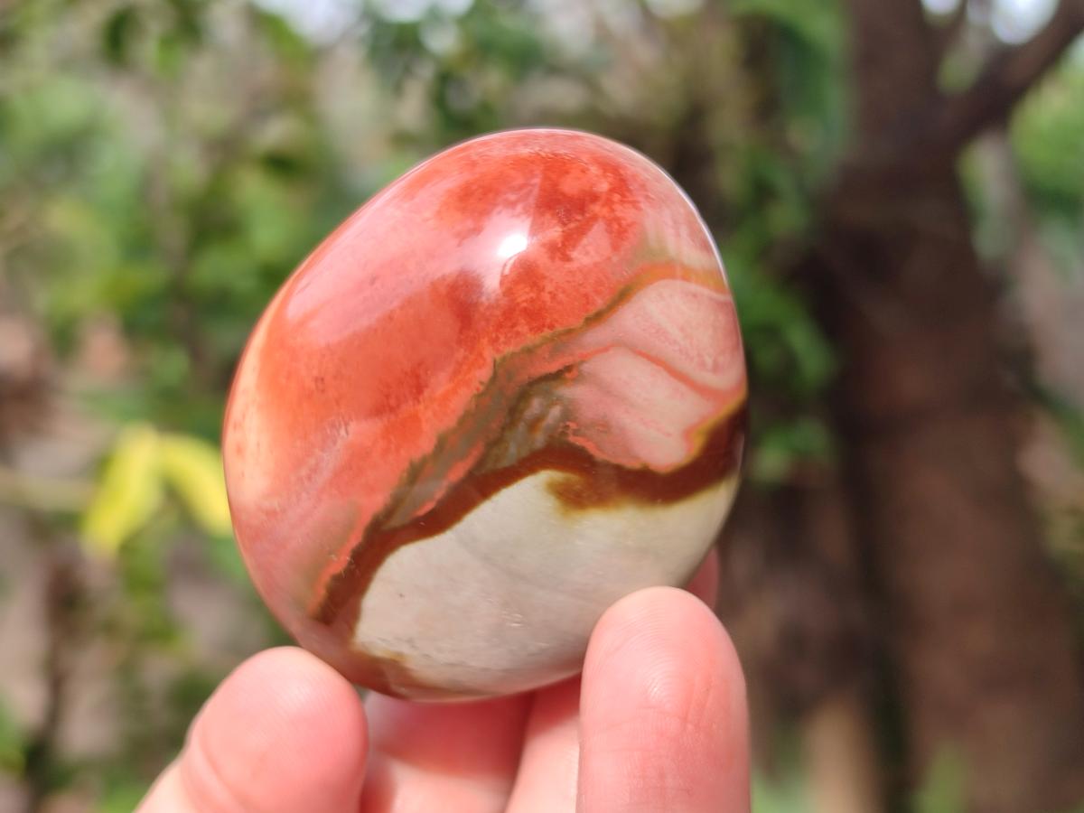 Polished Polychrome Jasper Galets x 24 From NW Coast, Madagascar - Toprock Gemstones and Minerals 