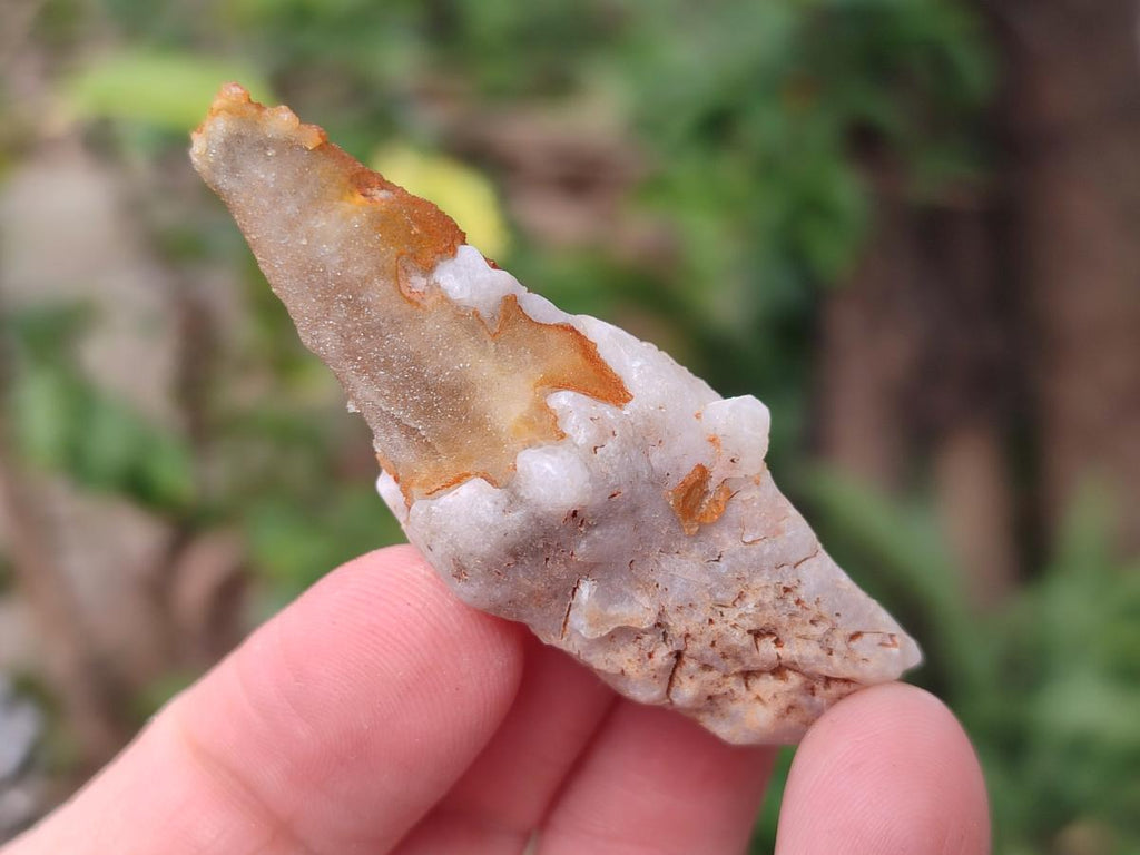Natural Dogtooth Calcite Crystals x 70 From Albert's Mountain, Lesotho - Toprock Gemstones and Minerals 