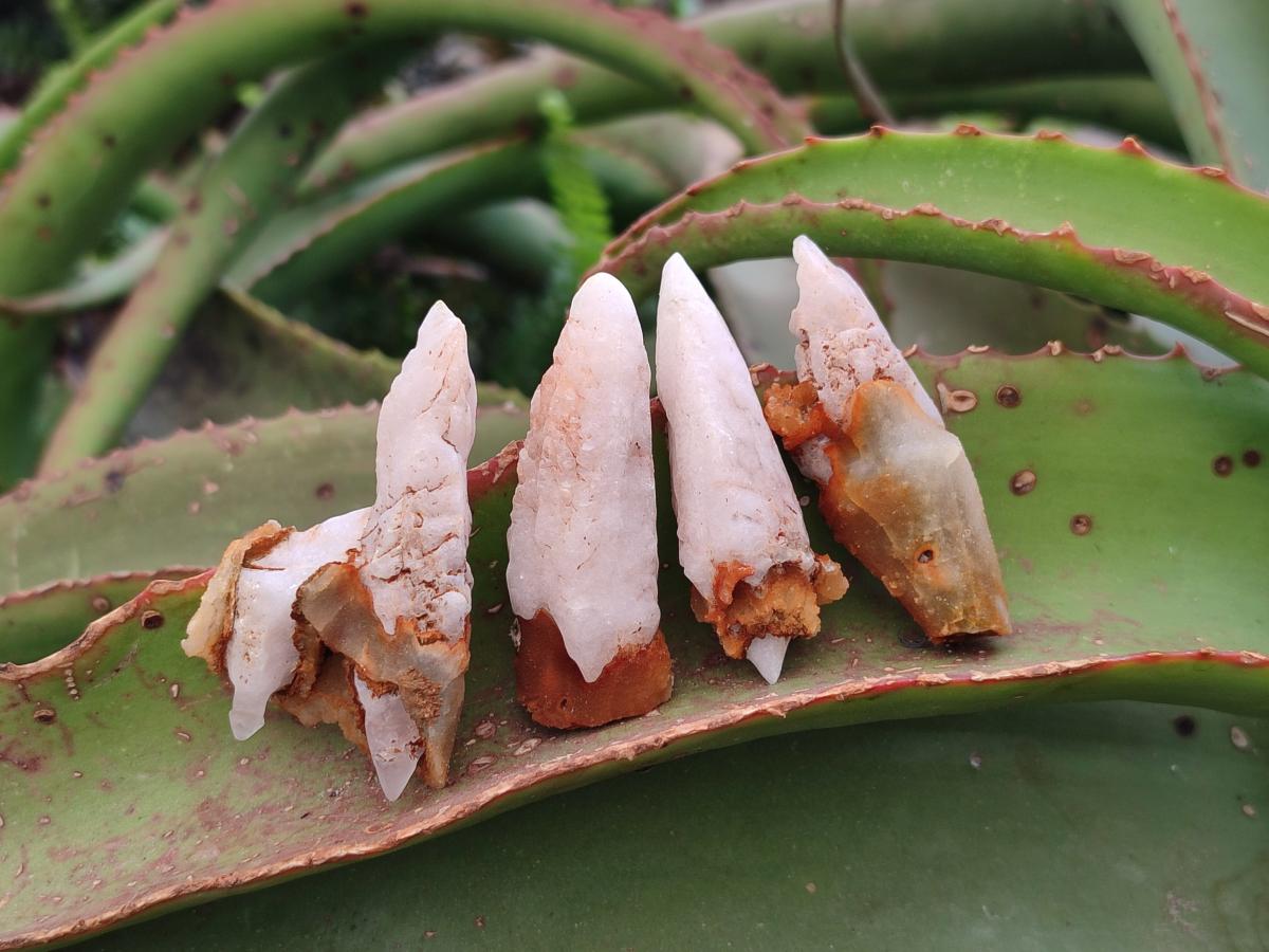 Natural Dogtooth Calcite Crystals x 70 From Albert's Mountain, Lesotho - Toprock Gemstones and Minerals 