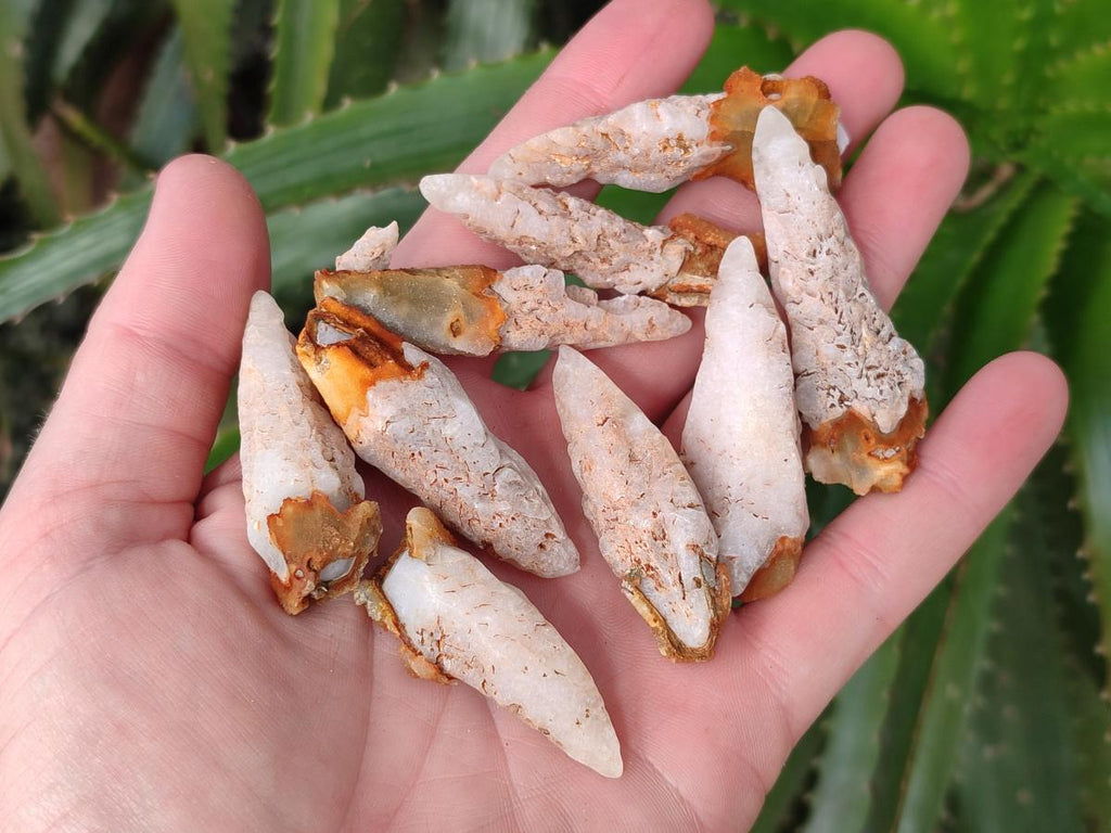 Natural Dogtooth Calcite Crystals x 70 From Albert's Mountain, Lesotho - Toprock Gemstones and Minerals 