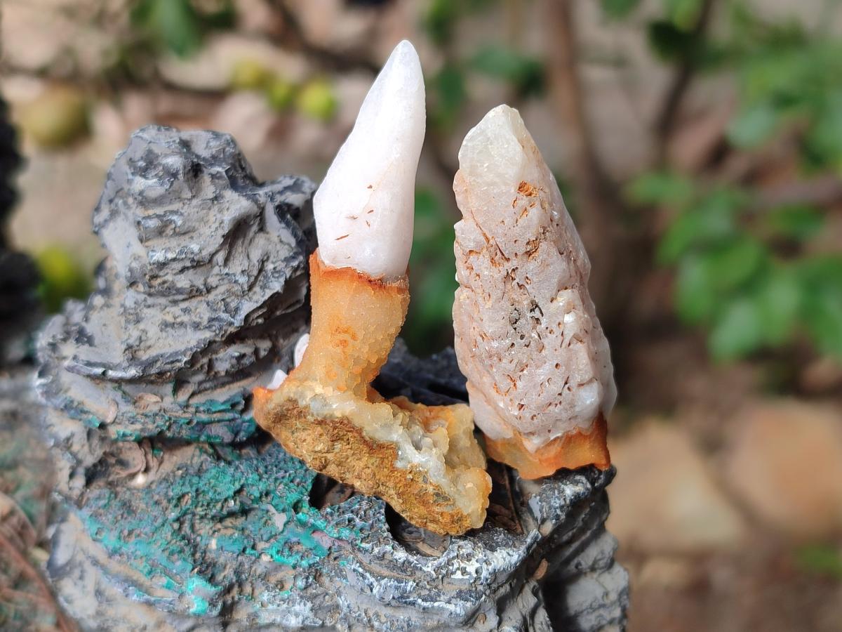 Natural Dogtooth Calcite Crystals x 70 From Albert's Mountain, Lesotho - Toprock Gemstones and Minerals 