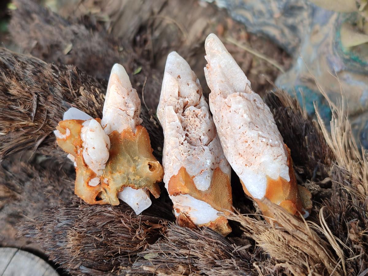 Natural Dogtooth Calcite Crystals x 70 From Albert's Mountain, Lesotho - Toprock Gemstones and Minerals 