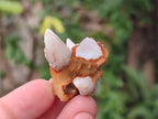 Natural Dogtooth Calcite Crystals x 70 From Albert's Mountain, Lesotho - Toprock Gemstones and Minerals 