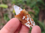 Natural Dogtooth Calcite Crystals x 70 From Albert's Mountain, Lesotho - Toprock Gemstones and Minerals 