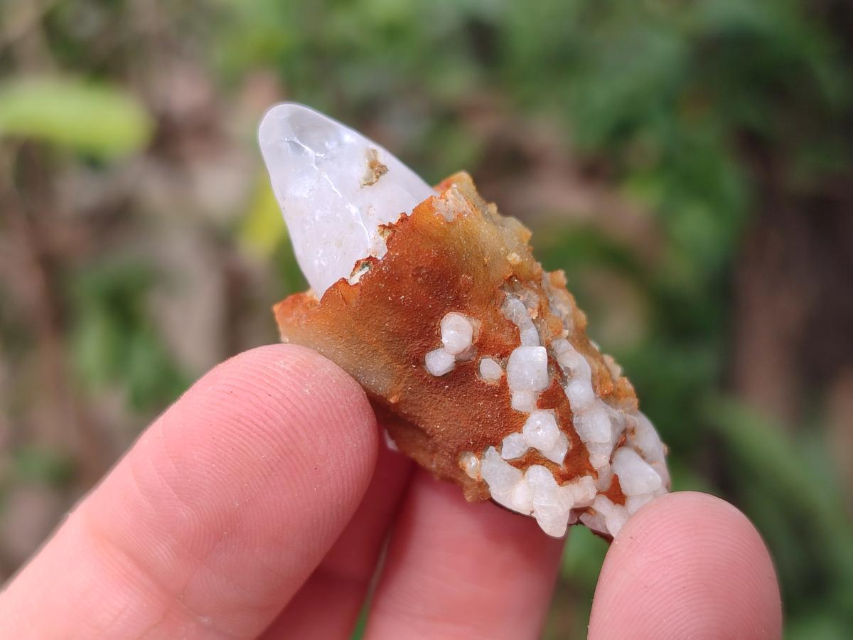 Natural Dogtooth Calcite Crystals x 70 From Albert's Mountain, Lesotho - Toprock Gemstones and Minerals 