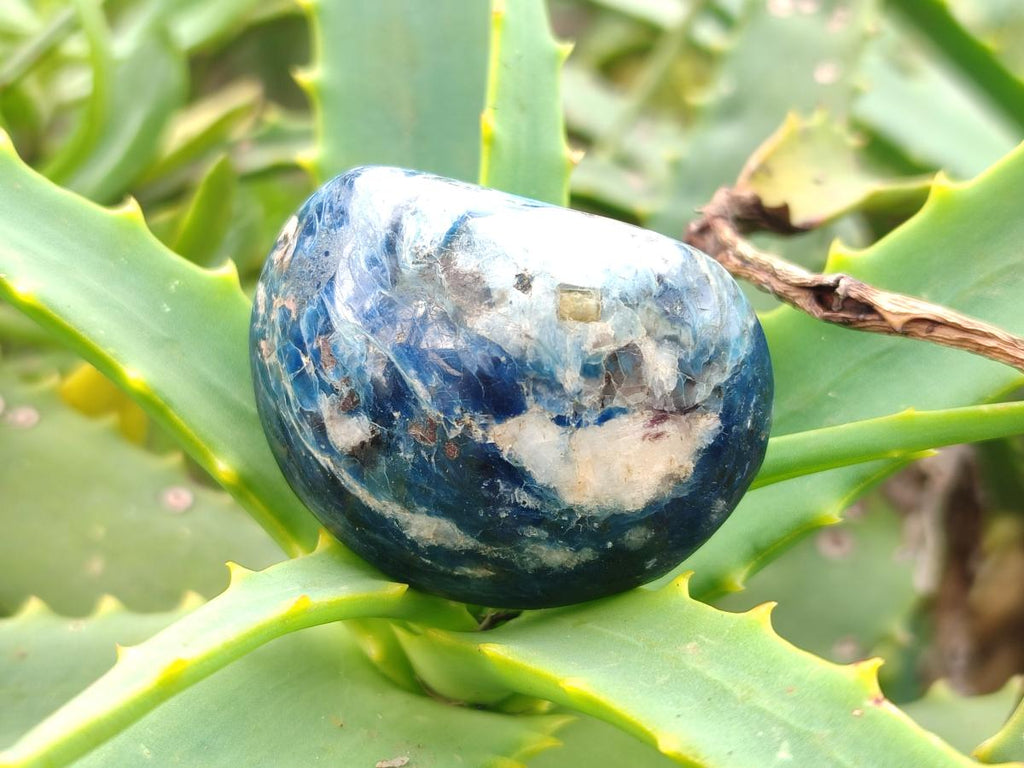 Polished Dumortierite Galets x 24 From Madagascar - Toprock Gemstones and Minerals 