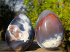 Polished Large White Red and Grey Agate Gemstone Eggs x 2 From Madagascar - Toprock Gemstones and Minerals 