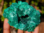 Natural Silky Malachite Specimens x 6 From Kasompe, Congo - Toprock Gemstones and Minerals 