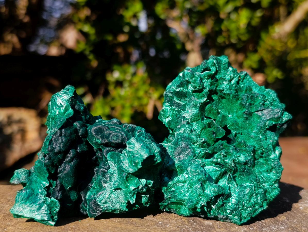 Natural Silky Malachite Specimens x 6 From Kasompe, Congo - Toprock Gemstones and Minerals 