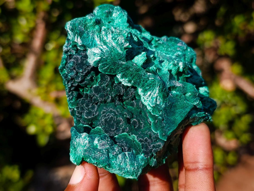 Natural Silky Malachite Specimens x 6 From Kasompe, Congo - Toprock Gemstones and Minerals 