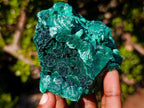 Natural Silky Malachite Specimens x 6 From Kasompe, Congo - Toprock Gemstones and Minerals 