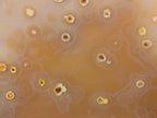 Polished Mix of Agate Standing Free Forms x 5 From Madagascar - Toprock Gemstones and Minerals 