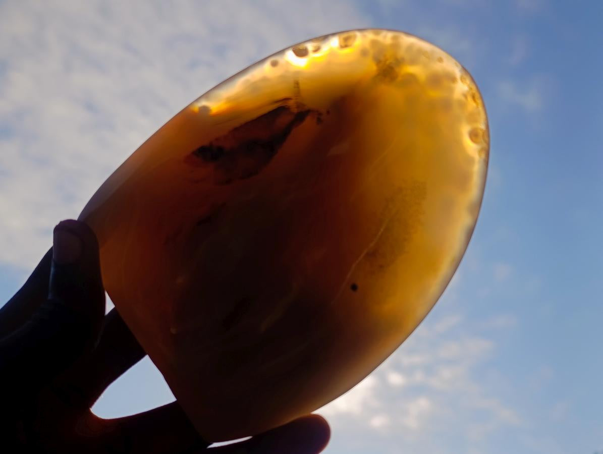 Polished Mix of Agate Standing Free Forms x 5 From Madagascar - Toprock Gemstones and Minerals 