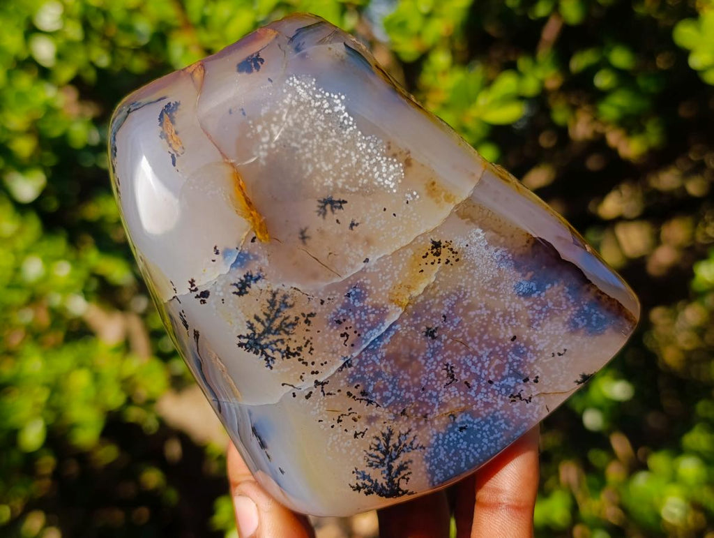 Polished Mix of Agate Standing Free Forms x 5 From Madagascar - Toprock Gemstones and Minerals 